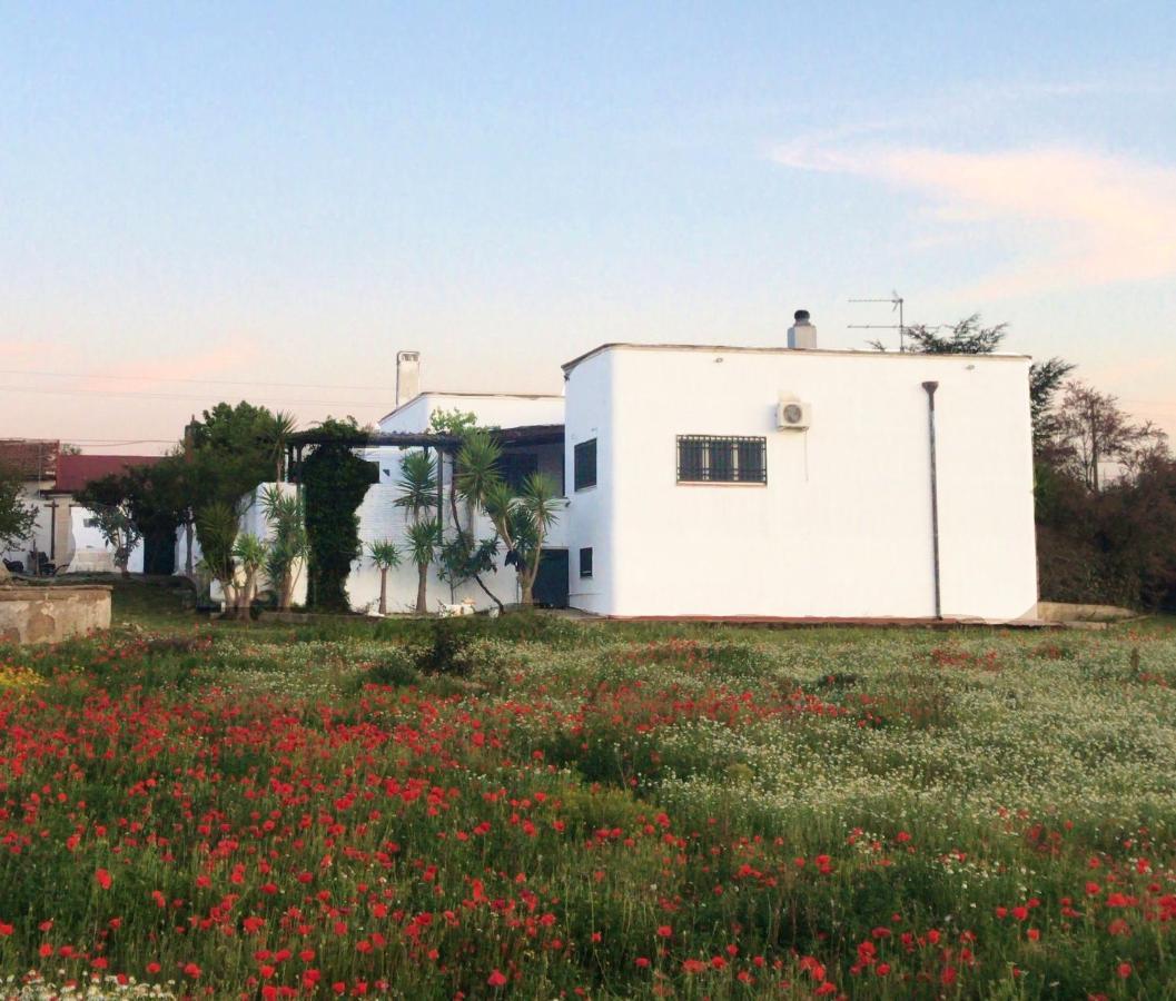 Villa Sara Di Puglia Castellaneta Zewnętrze zdjęcie