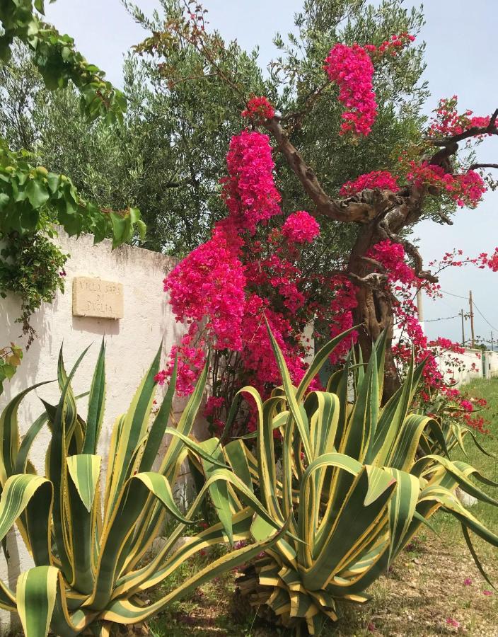 Villa Sara Di Puglia Castellaneta Zewnętrze zdjęcie