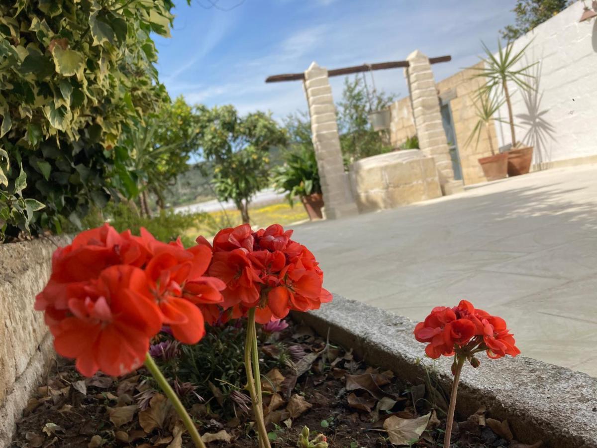 Villa Sara Di Puglia Castellaneta Zewnętrze zdjęcie